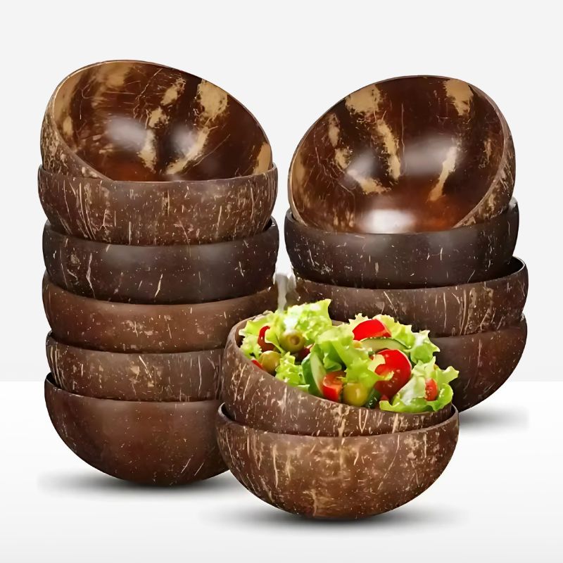 Ensemble de 10 bols en noix de coco fait main