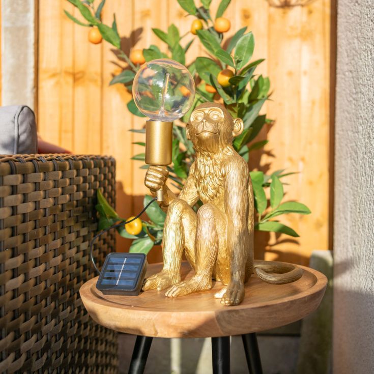 SunChaser Singe Solaire