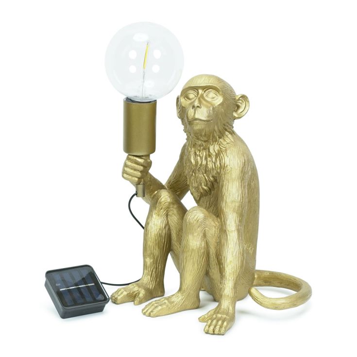 SunChaser Singe Solaire