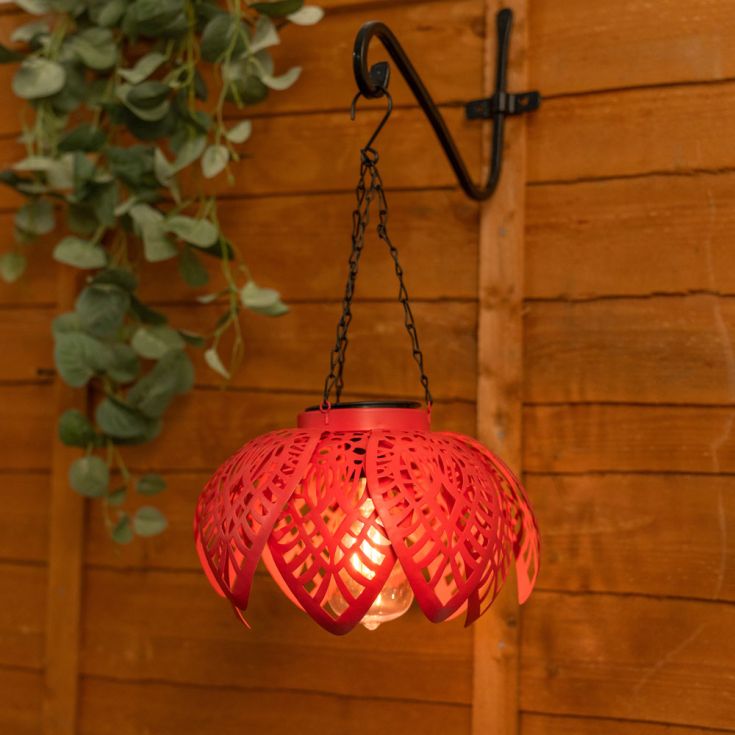 BloomGlow Suspension Solaire Corail