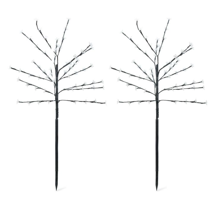 BlossomGlow Balises Solaires de Jardin (2 pcs)