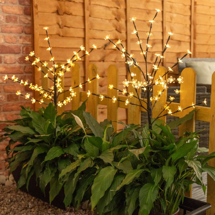 BlossomGlow Balises Solaires de Jardin (2 pcs)