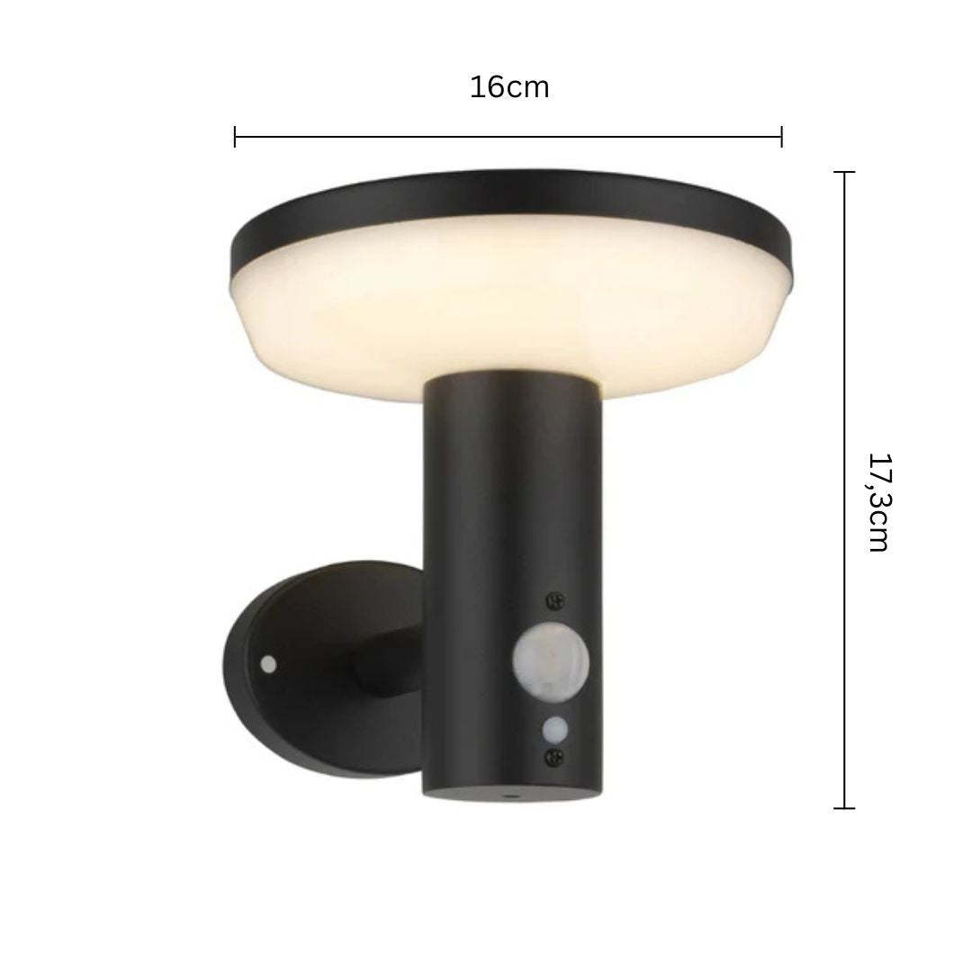 Stelia – Applique Solaire en Acier Inoxydable