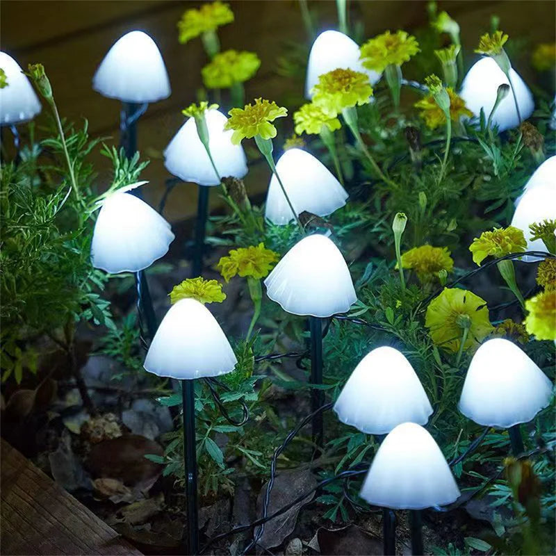 SunShroom™ - Lampes solaires pour champignons de jardin