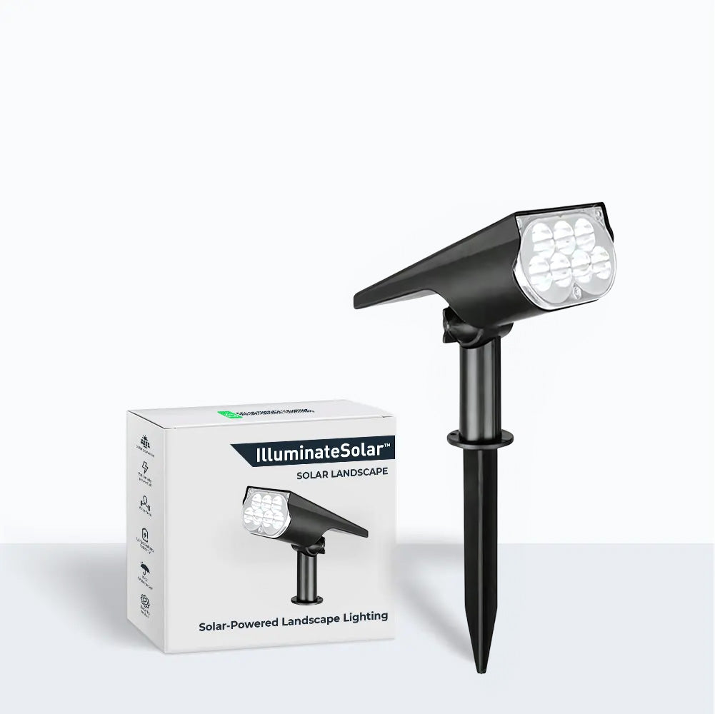 Projecteur Solaire de Jardin pour Éclairage Décoratif Extérieur