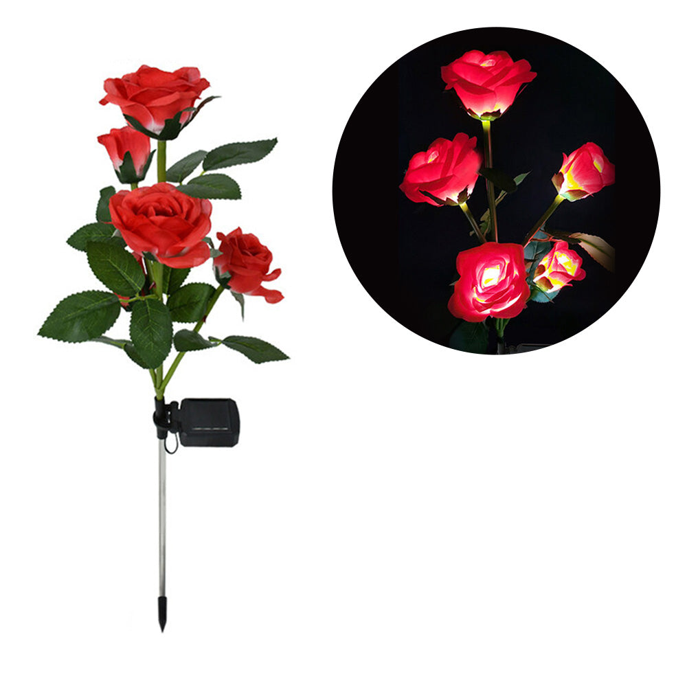 Rose - Lampes solaires
