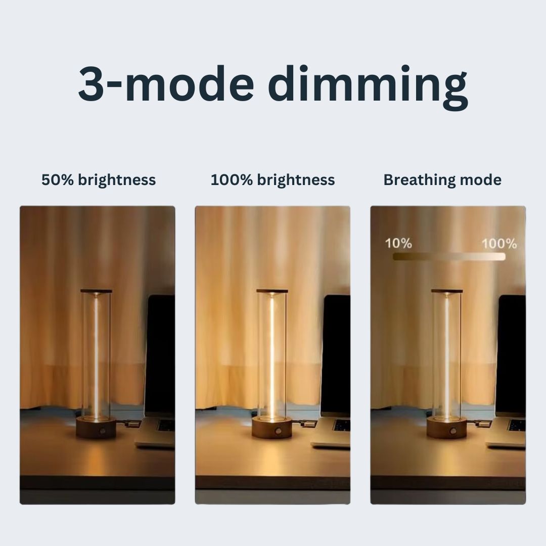 Lynx - Lampe de bureau LED moderne