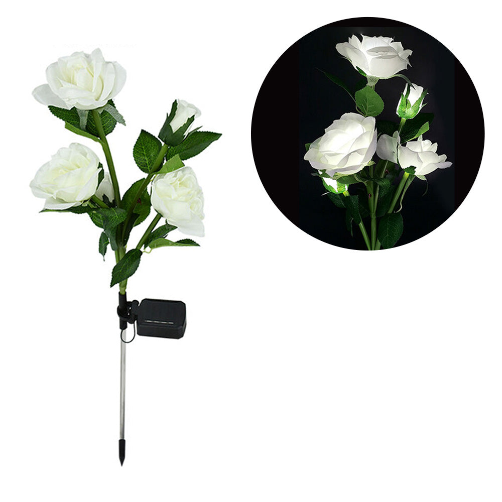 Rose - Lampes solaires