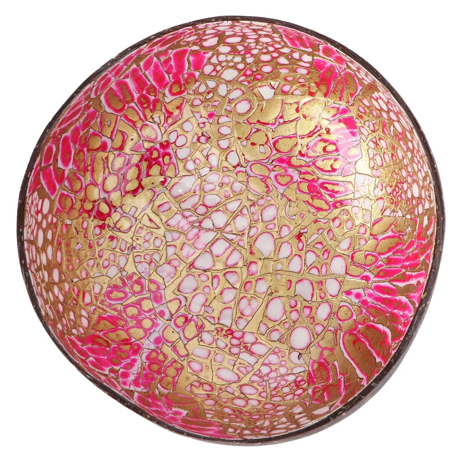 Bol en Coquille de Noix de Coco