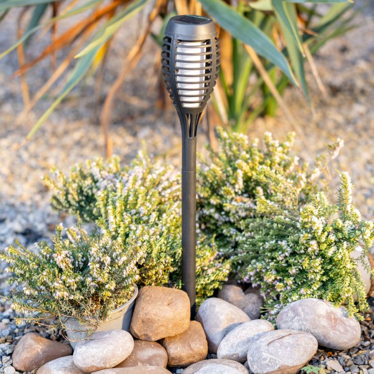 FlameGlow Stakes – Lot de 6 Torches Solaires