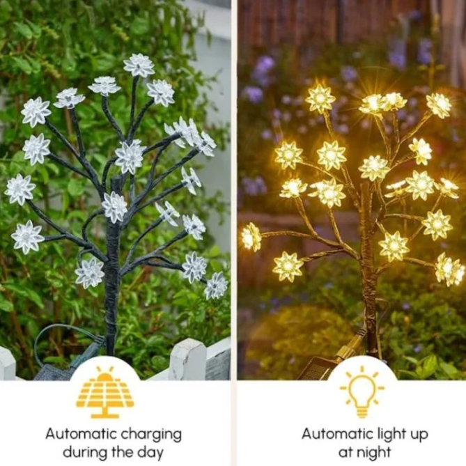 BloomLight - Lampes solaires décoratives pour le jardin