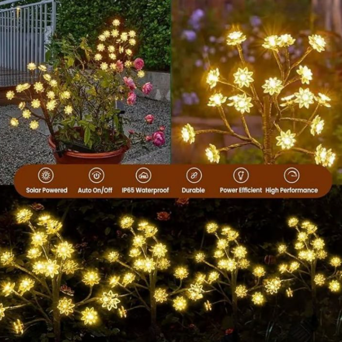 BloomLight - Lampes solaires décoratives pour le jardin