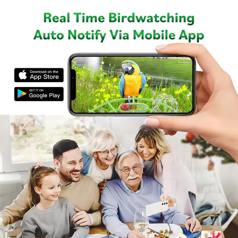 BirdView Mangeoire Solaire – Caméra Intelligente à Reconnaissance Aviaire