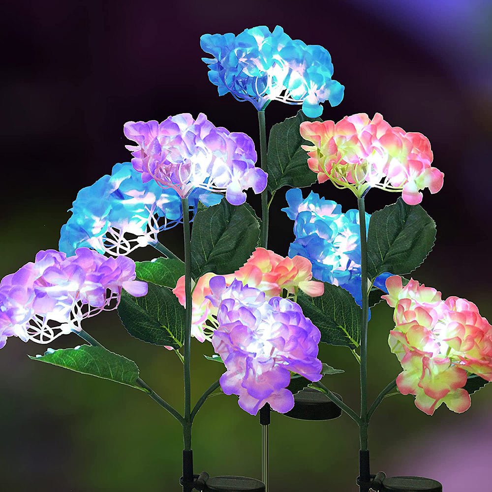 Hortensia - Lampes solaires