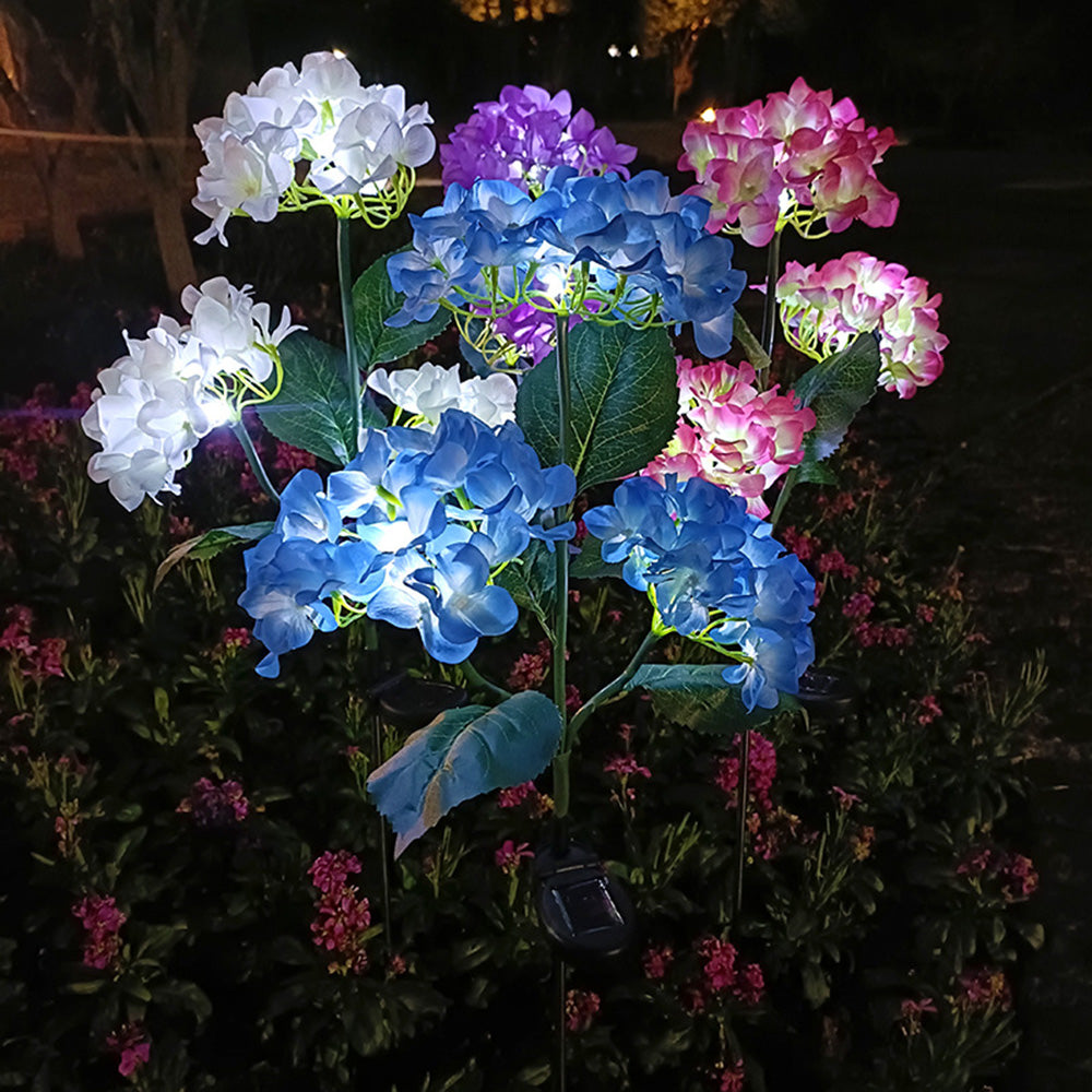 Hortensia - Lampes solaires