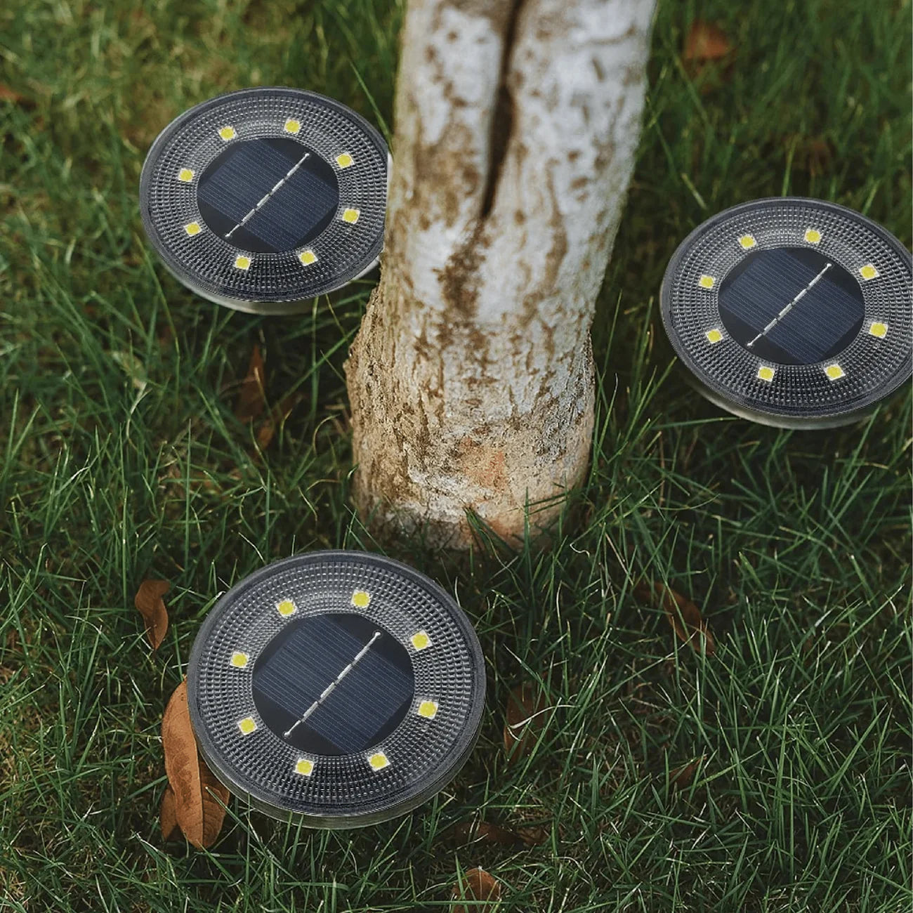 SunGlen - Lampes de sol à énergie solaire